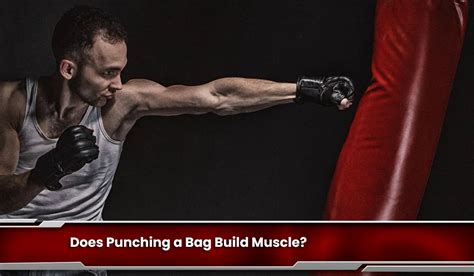 does punching a bag build muscle